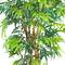 6ft. Potted Curved Bamboo Tree
